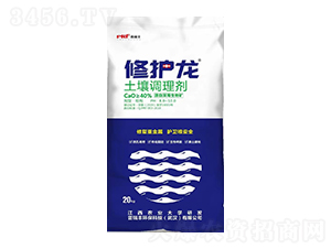 �����{�턩-���o��-�����S