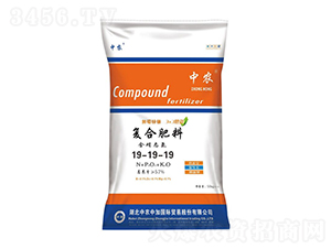 �ͺϷ���19-19-19-���r�м�