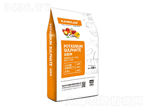 �����-���r�м�