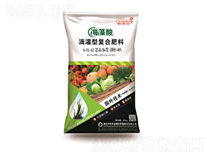 ������ι��͏ͺϷ���22-8-16+TE-���r�м�