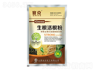 ���������-ِ��-�_�_�ʘI