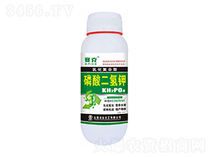 �黯�ͺ�����������-ِ��-�_�_�ʘI