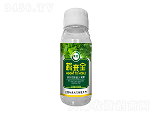 �߁�(l��i)��-ِ��-�_(t��i)�_(d��)�ʘI(y��)