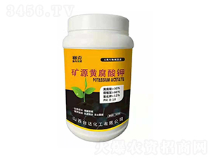 �VԴ�S�����-ِ��-�_�_�ʘI