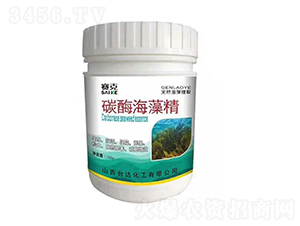 ̼ø���徫-ِ��-�_�_(d��)�ʘI(y��)