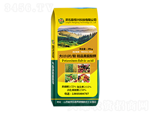 ��С��Ƭ�۾�Ʒ�S�����-���d�Ƽ�