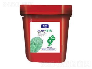 ���������}��-���o