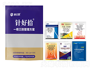 һ��������������-ᘺ�ʰ-�Ϸ�·