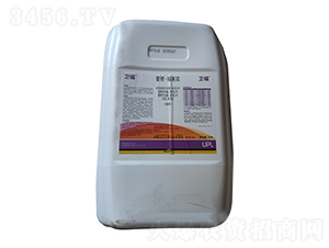 20��ή�P�������p-�l��-�۷N�r�I