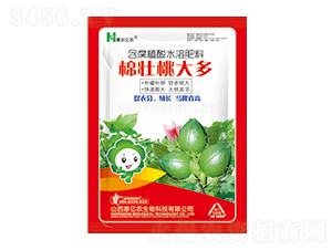 �މ��Ҵ��-�݃|�r