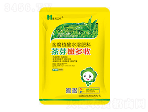 ��ѿ�۶���-�݃|�r