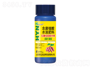 �t�����������-�݃|�r