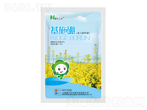 ��ʩ��-�݃|�r