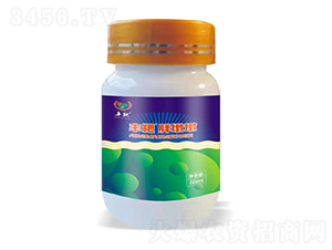 �S���ֶն�-�S������