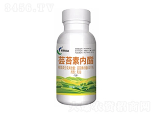 �|̦�؃�(n��i)֬-�W(li��n)���_(d��)