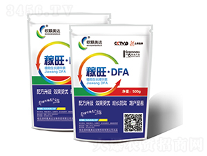 ������DFA-�W(li��n)���_(d��)