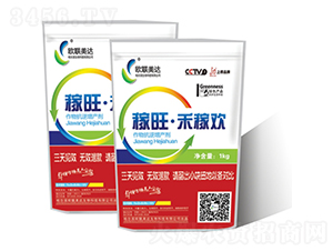 �������̼ښg-�W(li��n)���_(d��)