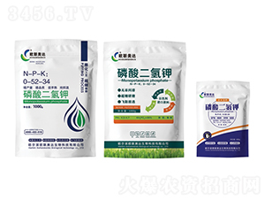 ��������-�W(li��n)���_(d��)