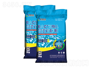 �紲��΢�������-�W���_