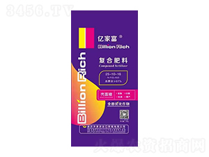 �|�Ҹ��ͺϷ���25-10-16-�A��