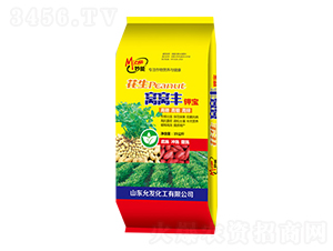 �����C�C�S⛌�-��������