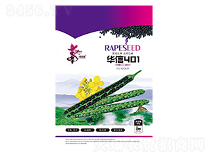 �A��401-�Ͳ˷N��-�Aһ�N�I