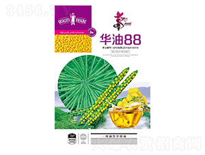 �A��88-�Ͳ˷N��-�Aһ�N�I