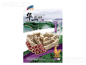 �t109-�����N��-�Aһ�N�I