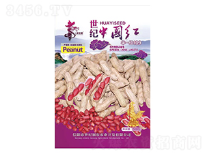 ���o�Ї��t�Aһ�t109-�����N��-�Aһ�N�I