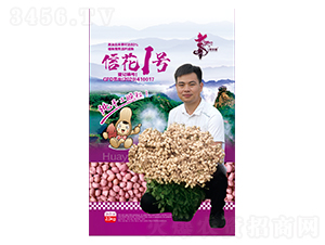 �Ż�1̖-�����N��-�Aһ�N�I