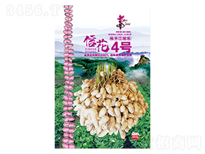 �Ż�4̖-�����N��-�Aһ�N�I