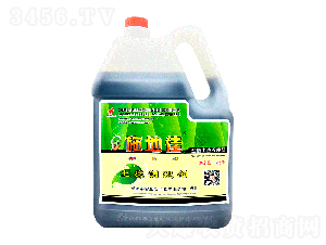 ʩ�ؼ������{�턩-�A��