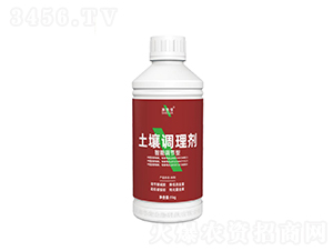 �����{���������{�턩-�A��