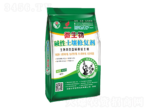 ΢����A�������ޏ̈́�-�A��