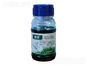 10%���@�ˮ��-�ڠ�-�����r��