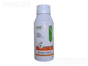 25%��Ч��Ҹ���-�ζ���-�����r��