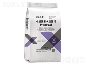 �}�V���F�\-����֮��-��������