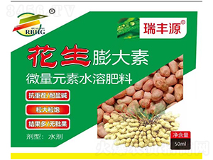 ���������-���SԴ-����