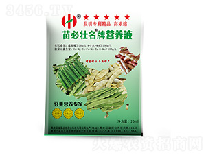 �ߝ�s��I�B����-��؉�