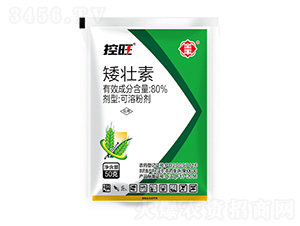 ����������-ȫ�S