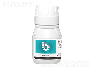 30%뿾������򴼑Ҹ���-�ێ�