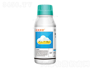 17%���򡤷��h��Ҹ���-�ƴ��S��-�ێ�