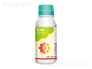 43%�������Ҹ���-�t�oۙ-�ێ�