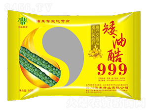 �Ͳ˷N��-���Ϳ�999-��̷N�I(y��)