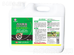 ���������{�턩-����Q��-�r��ڈ@