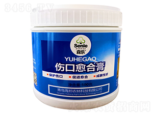 �������ϸ�-ɭ��-�����r��