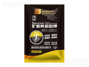 �VԴ�S�����-��¡���B