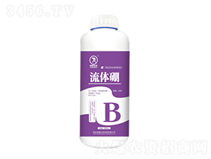 ���w��-��¡���B