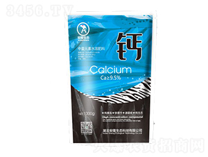 ��¡�}-��¡���B