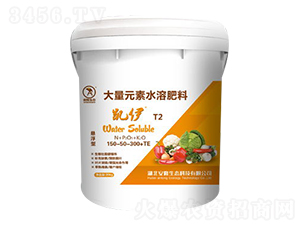 �P��T2����Ԫ��ˮ�ܷ�-��¡���B(t��i)